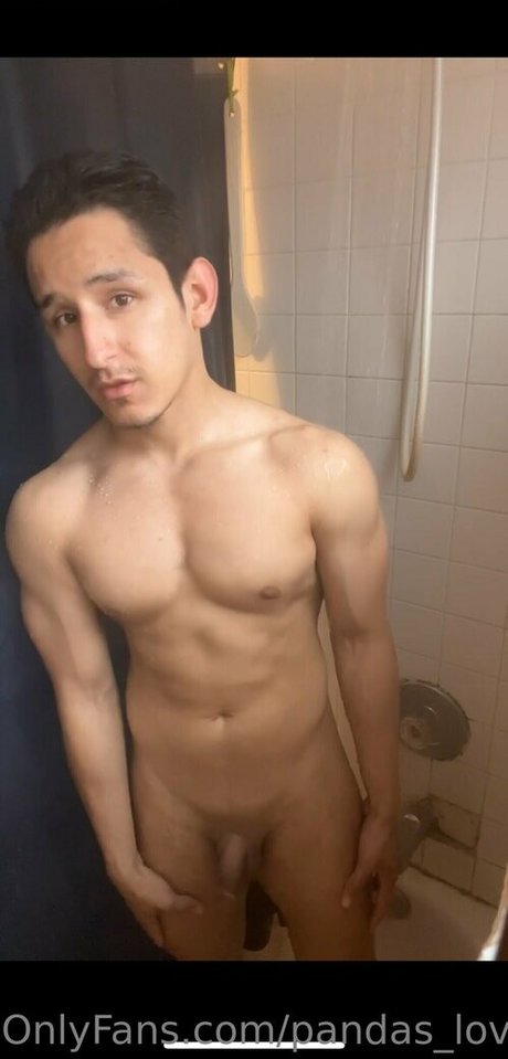 pandas lover beautiful pornstar pics
