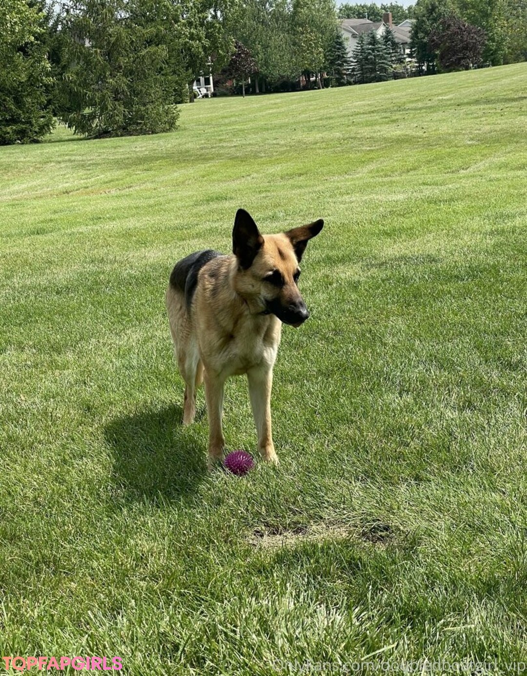 big cock anal onlyfans beautiful porn galleries