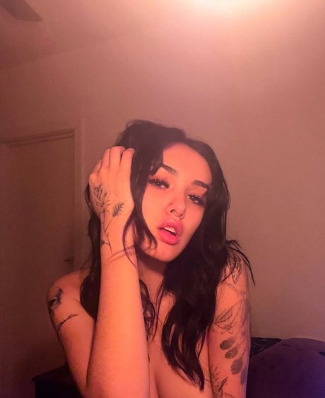 Akasha Collins star high quality img