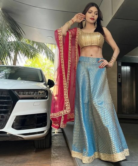 Sherlyn Chopra star hd gallery
