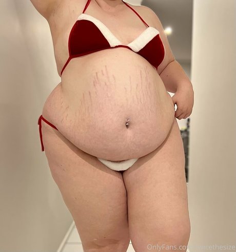 twicethesize profile image