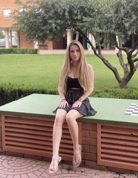 Dianacane1 top profile image