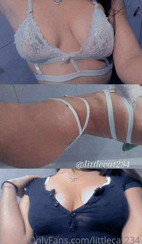 littlecat234 star beautiful images