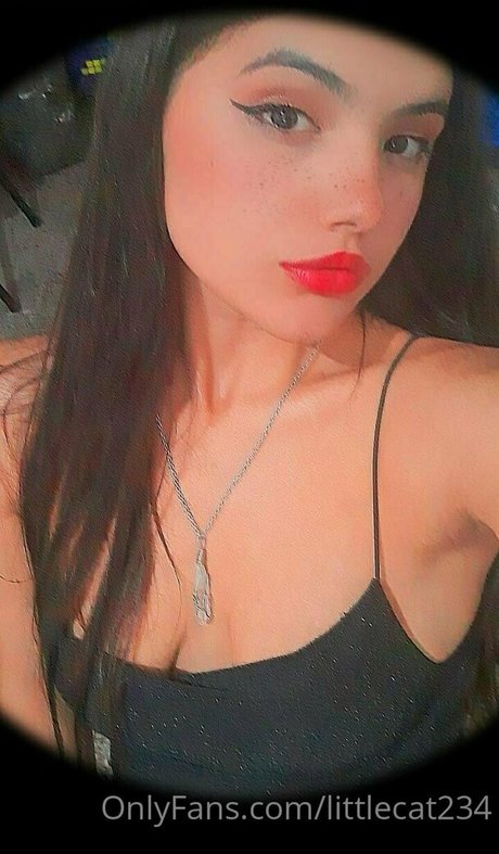 littlecat234 exclusive star gallery