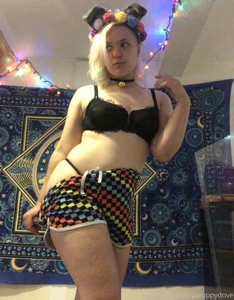 pwuppydove star picture