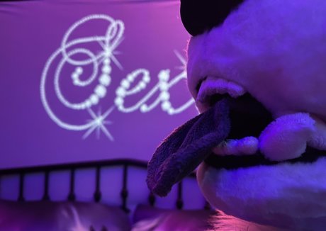 emmawerewuff pornstar pics