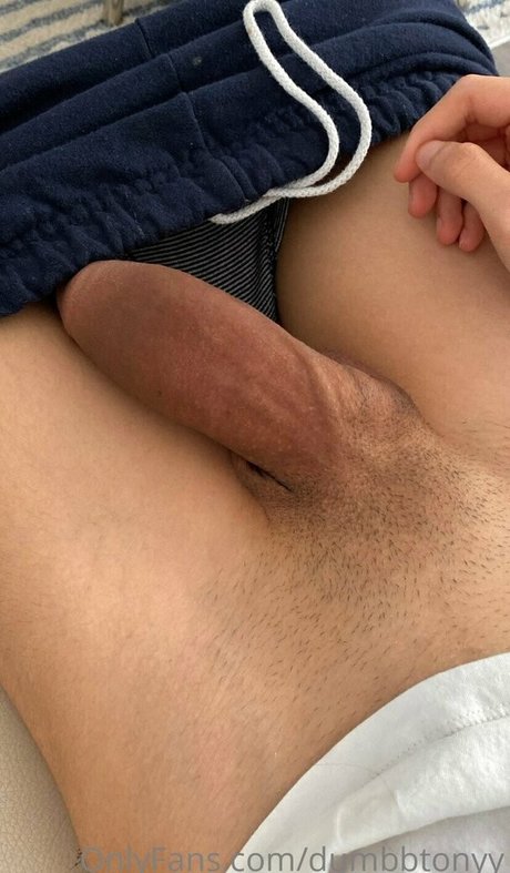dumbbtonyy pornstar art pics