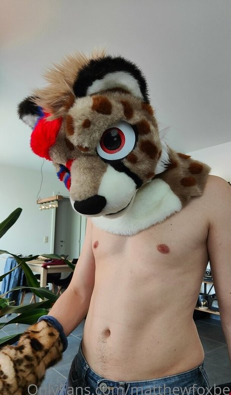 matthewfoxbe top profile image