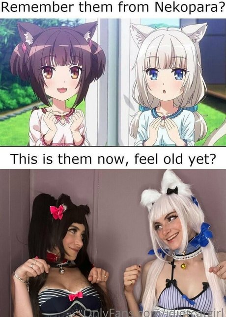 idiotcatgirl top actress pictures