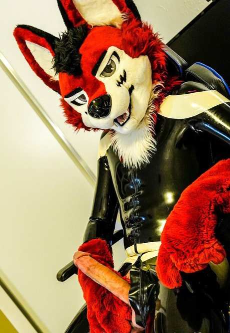 wolf ezo star hd images
