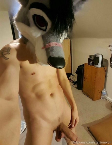 stallionwolf star best gallery