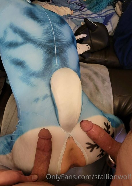 stallionwolf free star pics