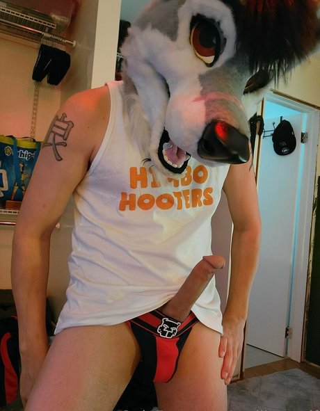 stallionwolf art star pic