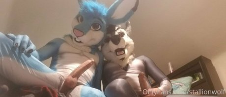 stallionwolf best model pic