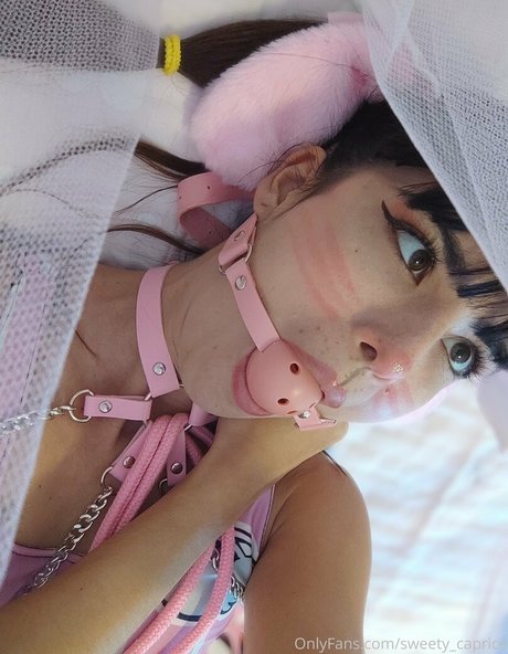 lenidoll model perfect galleries