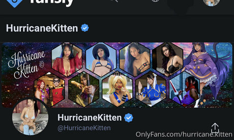 hurricane kitten star free photo