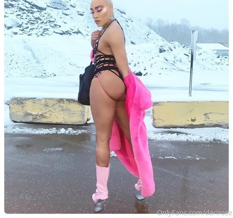 darirose star high quality gallery