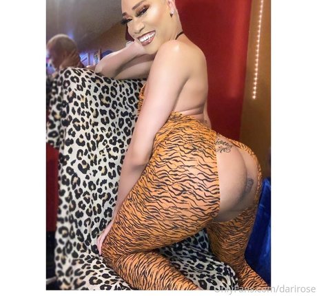 darirose pretty star archive