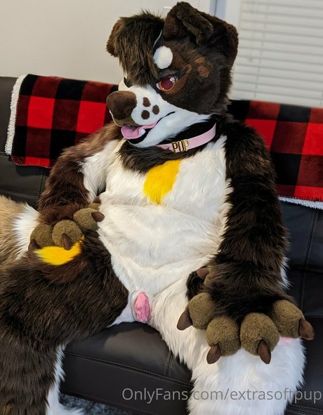 extrasoftpup top actress img
