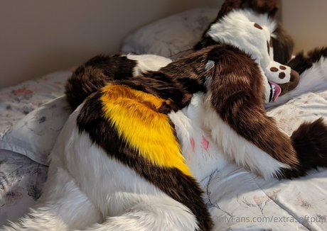 extrasoftpup high quality model photo