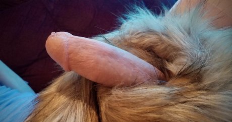 plushopossum pornographic actress pic