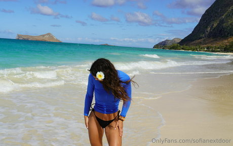 かわいいシーメールオンリーファンズ アートxxx 写真