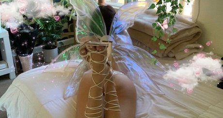 Honeybabey ヌードモデル 写真