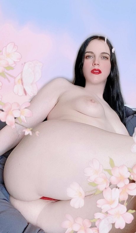 davisonvideo HDモデル 画像