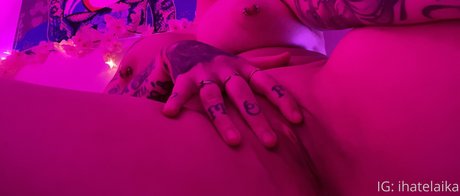 金髪クーガーオンリーファンズ 無料ポルノ 写真