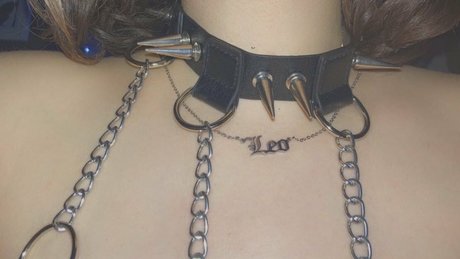 ブラジルの猫オンリーファンズ 美しいxxx 写真