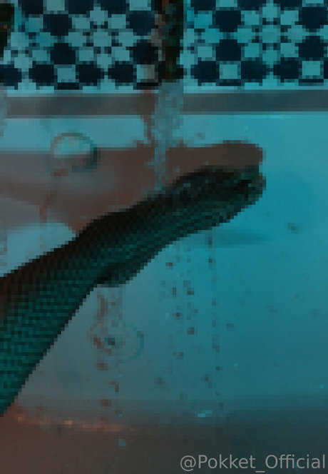 pokket official エロティックなスター 写真