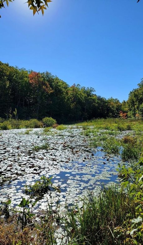 ヌード教師オンリーファンズ ホットセクシー 写真