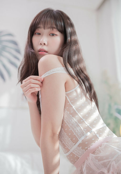 Shaany 高品質スター ギャラリー