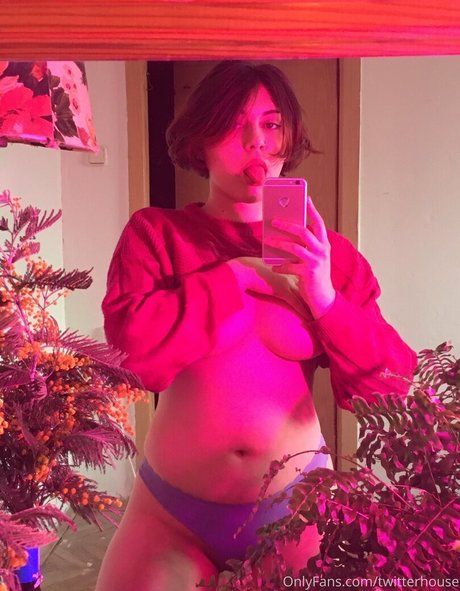 twitterhouse ポルノスター 高品質 写真