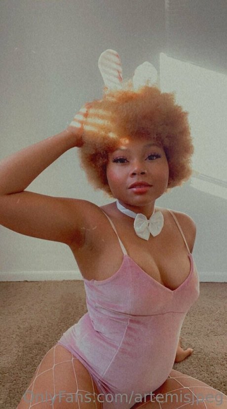 artemisjpeg トップモデル 写真