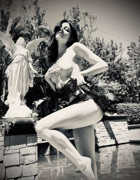 厚い黒檀オンリーファンズ アダルト 画像