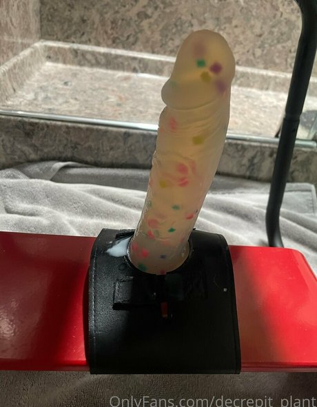 OnlyFansの交換 素敵 写真