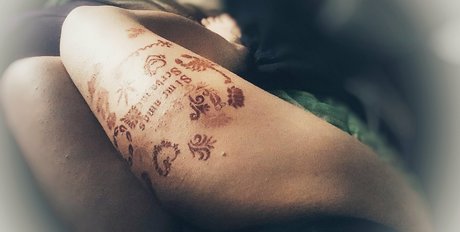 tvflavia セクシーなスター アーカイブ