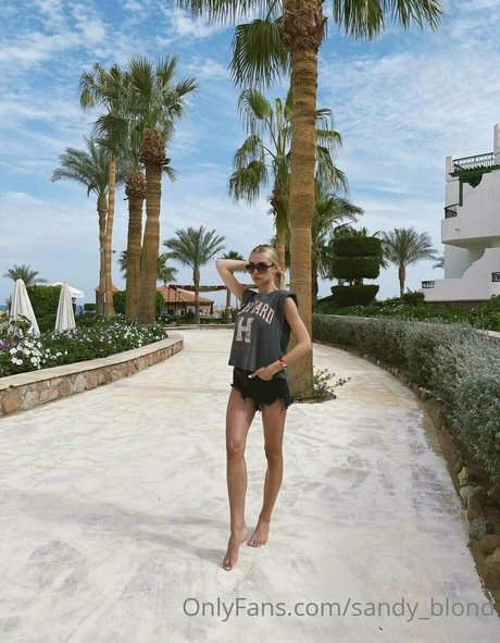 sandy mallrose スター ヌード ギャラリー