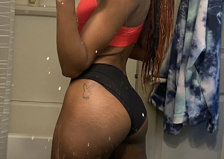 dommevaay 限定スター ギャラリー