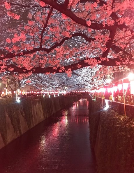 yacchi セックスモデル 写真