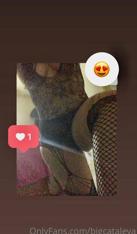 bigcataleya 素敵なモデル ギャラリー