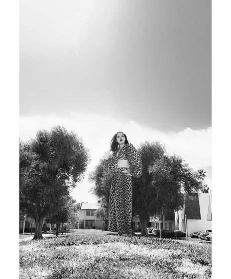 dandyindistress セクシーなスター 写真