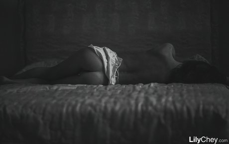 Guerlain HDモデル 写真