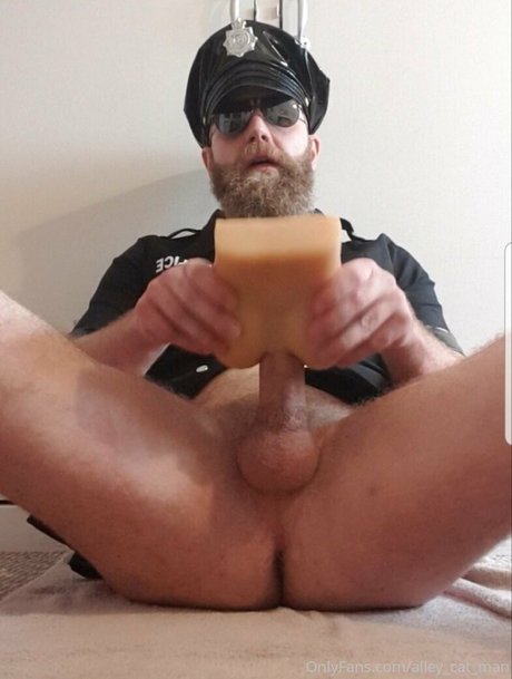 alley cat man 美しいスター 画像