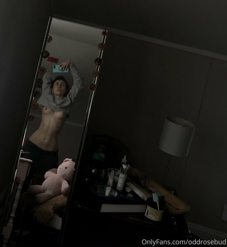 miaxcosta 無料のスター 写真