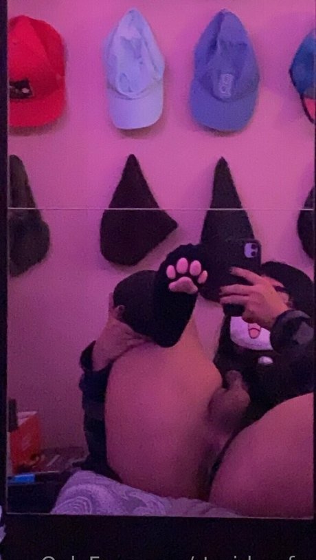 rts irl nsfw トップスター ギャラリー