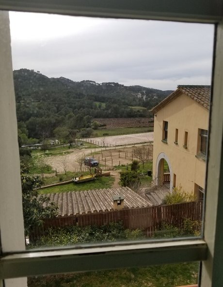 英国のティーンオンリーファン トップ 写真