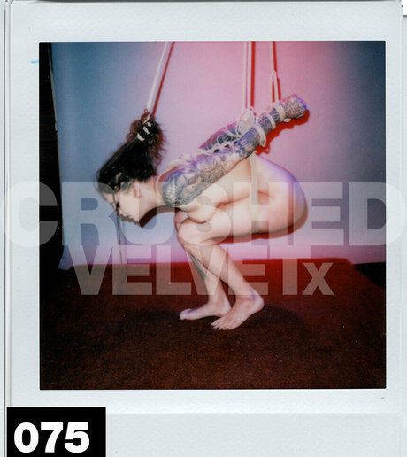 crushedvelvetx ポルノスター 裸 アーカイブ