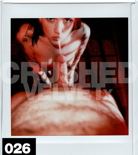crushedvelvetx ポルノスター 写真